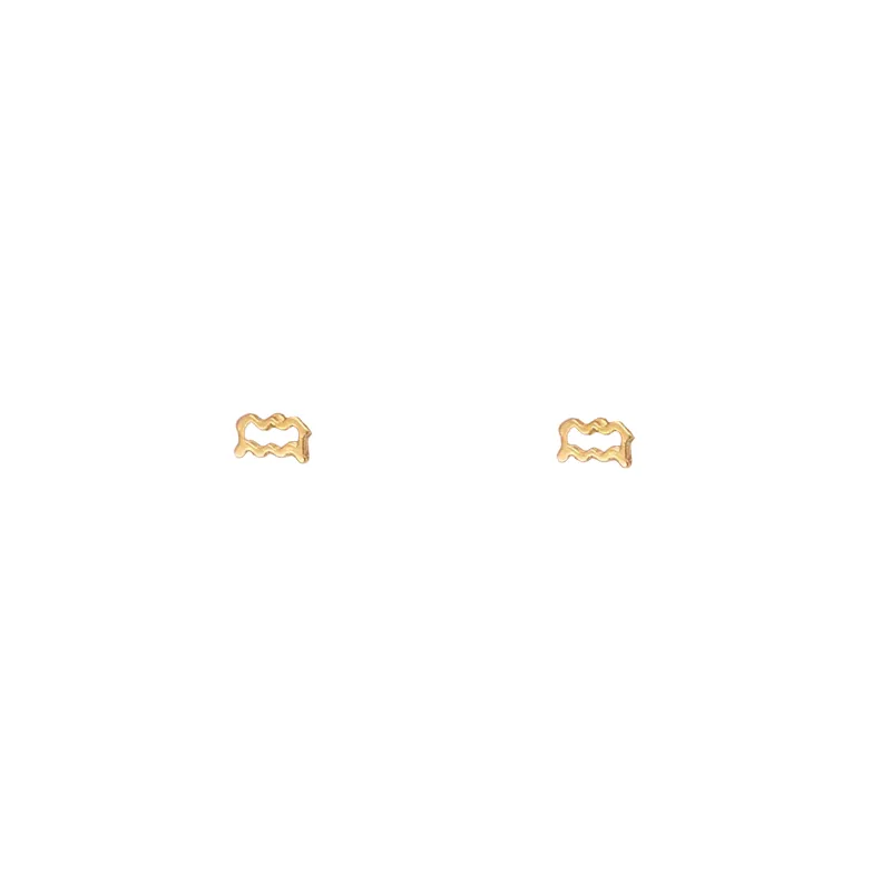 Aquarius Zodiac Studs