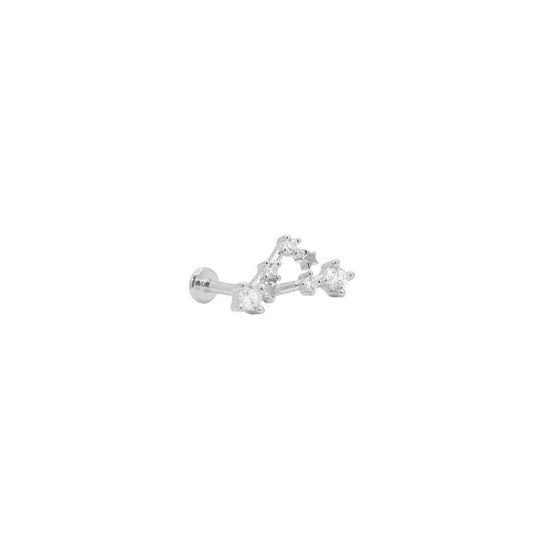 Pisces Constellation Flat Back